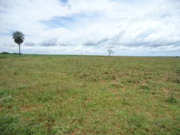 Fazenda em distrito do novo paraíso - amazonas