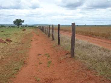 Fazenda em distrito do novo paraíso - amazonas