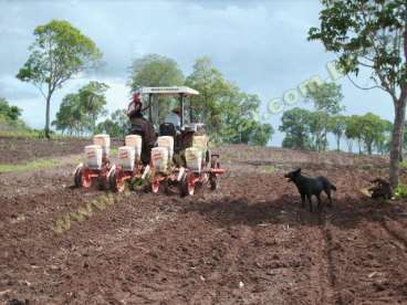 Fazenda em estrela do norte - go, regiao de porang