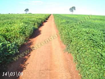 Fazenda em estrela do norte - go, regiao de porang