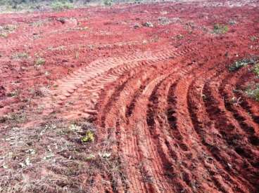 Fazenda em go vende ou troca por outra em tocantin