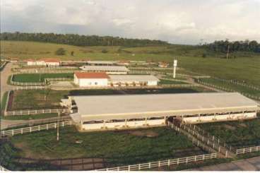 Fazenda em ipixuna - pará