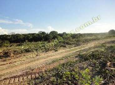 Fazenda em itaquere - mt. com 1.000 ha