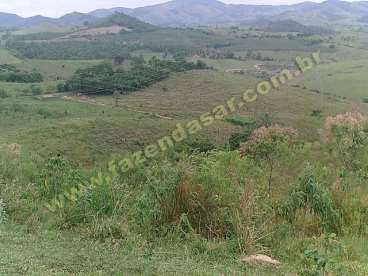 Fazenda em jacutinga - mg. com 69 alqueires