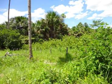 Fazenda em jaú do tocantins - to