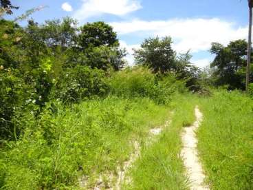 Fazenda em jaú do tocantins - to