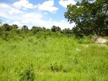 Fazenda em jaú do tocantins - to