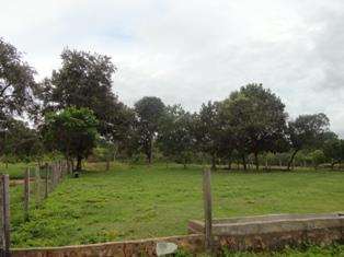 Fazenda em jaú do tocantins 890 ha