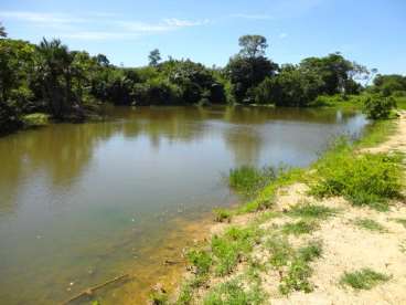 Fazenda em jaú do tocantins 890 ha