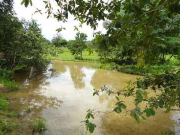 Fazenda em jaú do tocantins 890 ha