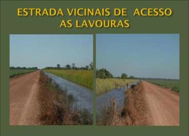 Fazenda em lagoa da confusao - tocantins