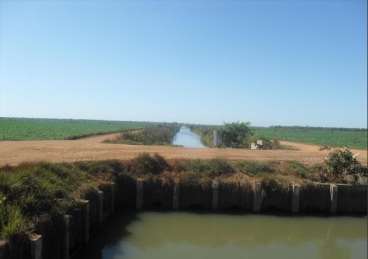 Fazenda em lagoa da confusao - tocantins