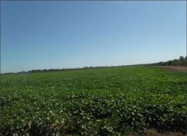 Fazenda em lagoa da confusao - tocantins