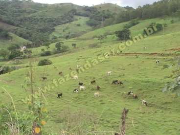 Fazenda em lindóia - sp. com 38 alqueires