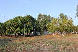 Fazenda em livramento mt 220 hectare