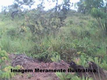 Fazenda em lizarda - tocantins