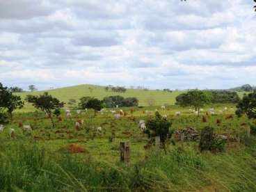 Fazenda em luziania go 5150 ha