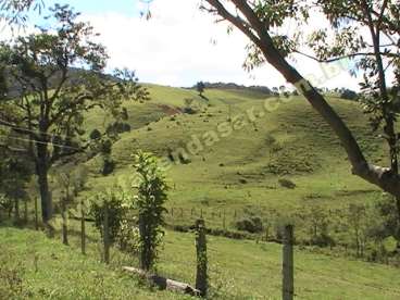 Fazenda em munhoz - mg. com 53 alqueires