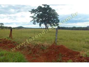 Fazenda em novo sao joaquim - mt. com 3.388 hect