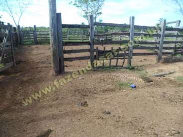 Fazenda em novo sao joaquim - mt. com 3.388 hect