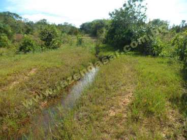 Fazenda em novo sao joaquim - mt. com 3.388 hect