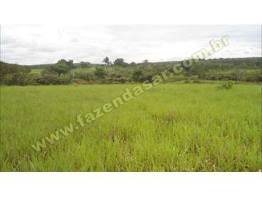 Fazenda em novo sao joaquim - mt. com 387 hectares