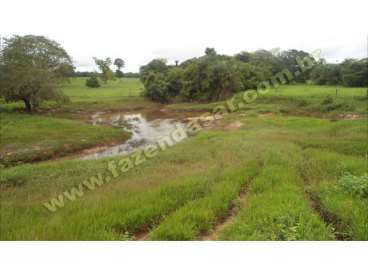 Fazenda em novo sao joaquim - mt. com 387 hectares