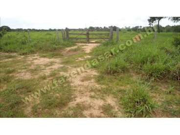 Fazenda em novo sao joaquim - mt. com 387 hectares