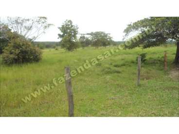 Fazenda em novo sao joaquim - mt. com 435 ha