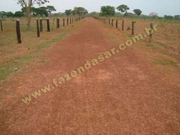 Fazenda em novo sao joaquim - mt. com 500 hectares