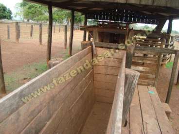 Fazenda em novo sao joaquim - mt. com 500 hectares