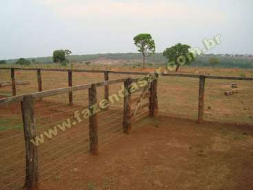 Fazenda em novo sao joaquim - mt. com 500 hectares