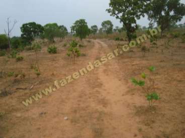 Fazenda em novo sao joaquim - mt. com 500 hectares