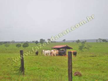 Fazenda em novo sao joaquim - mt . com 7.000 hecta