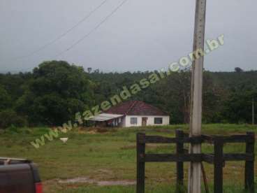 Fazenda em novo sao joaquim - mt . com 7.000 hecta