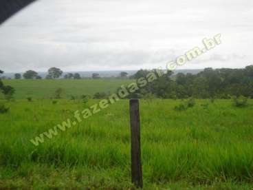 Fazenda em novo sao joaquim - mt . com 7.000 hecta