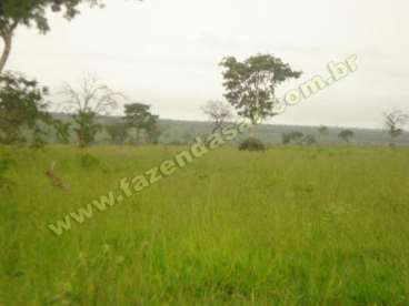 Fazenda em novo sao joaquim - mt . com 7.000 hecta