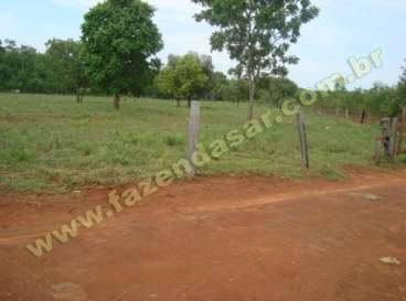 Fazenda em novo sao joaquim, mt. 242 hectares