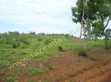 Fazenda em novo sao joaquim, mt. 242 hectares