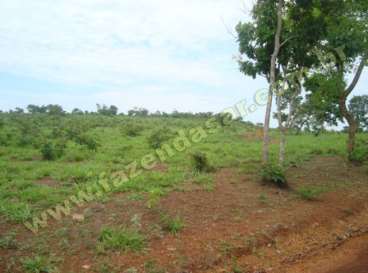 Fazenda em novo sao joaquim, mt. 242 hectares