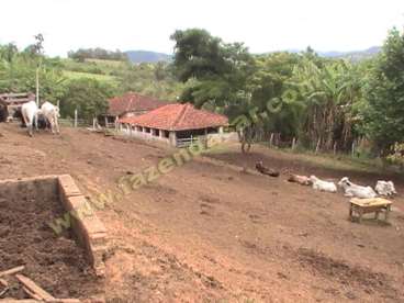 Fazenda em ouro fino - mg. com 20 alqueires