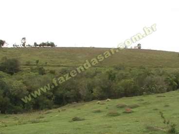 Fazenda em ouro fino - mg. com 20 alqueires