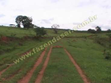 Fazenda em ouro fino - mg. com 25 alqueires