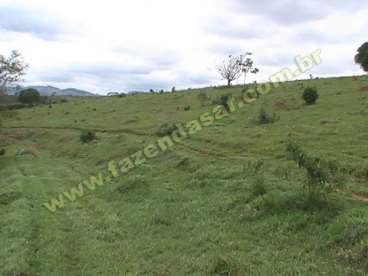 Fazenda em ouro fino - mg. com 35 alqueires