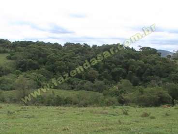 Fazenda em ouro fino - mg. com 35 alqueires