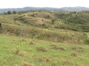 Fazenda em ouro fino - mg. com 40 alqueires