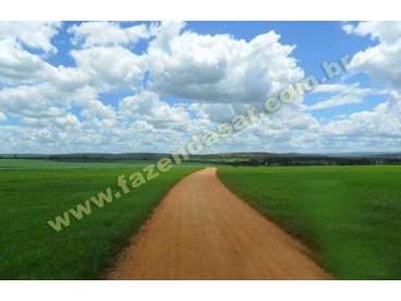 Fazenda em ouro fino - mg. com 45 alqueires