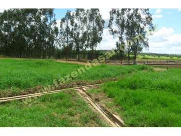 Fazenda em ouro fino - mg. com 45 alqueires