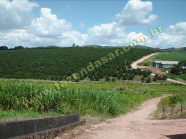 Fazenda em ouro fino - mg. com 60 alqueires