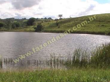 Fazenda em ouro fino - mg. com 60 alqueires